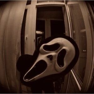 Meet your Posher, Yoscelin